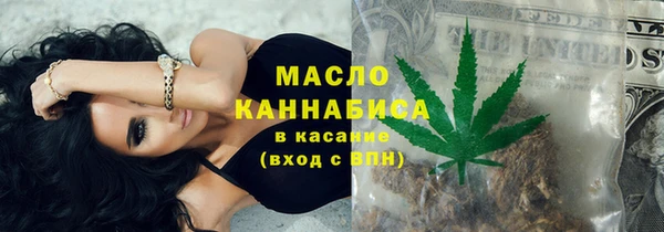 индика Арсеньев