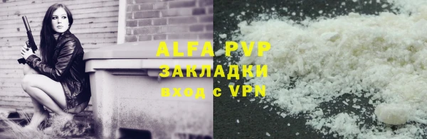 индика Арсеньев
