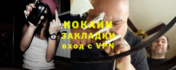 индика Арсеньев