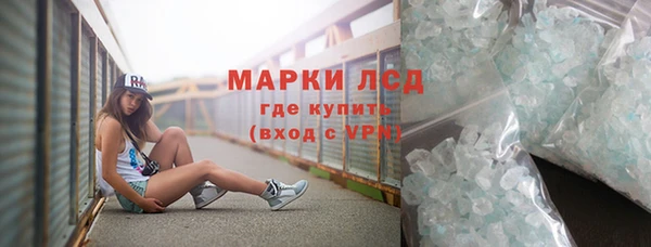 индика Арсеньев
