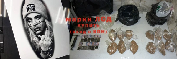 индика Арсеньев