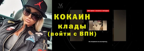 индика Арсеньев