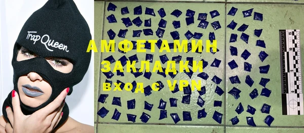 индика Арсеньев