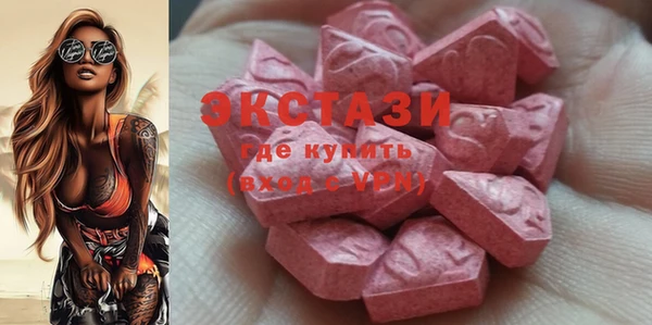 индика Арсеньев